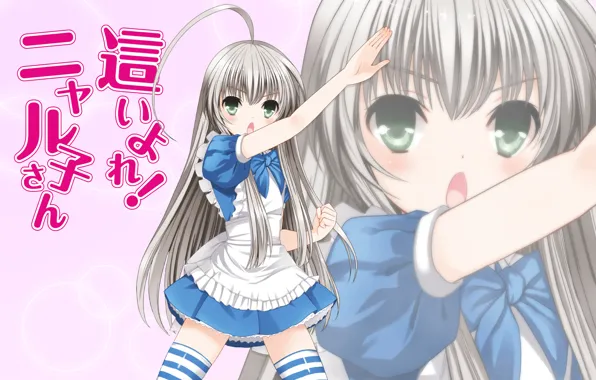 Girl, anime, Anime, art, nyaruko, Nyaruko, nyarlathotep, organic or! Nyari located in-san