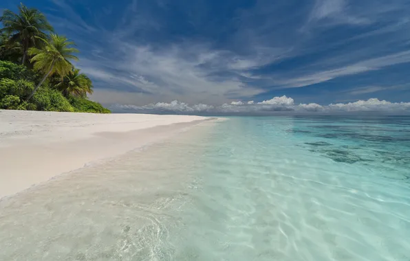 Picture sea, beach, summer, landscape, tropics, palm trees, blue water