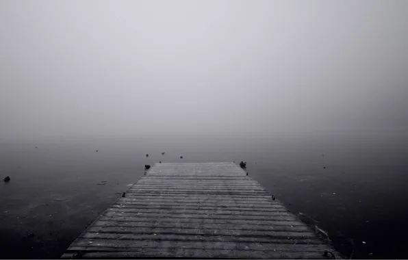 Water, fog, lake, pierce