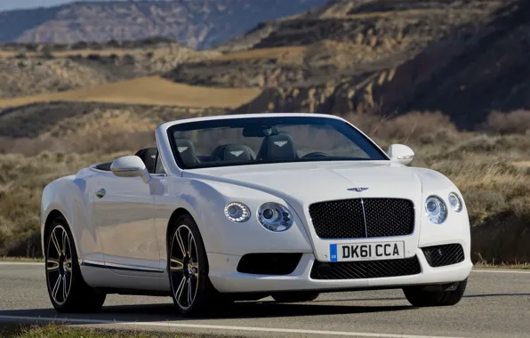 Picture Bentley, Continental, White, Convertible, Grille, The hood, Bentley, Lights