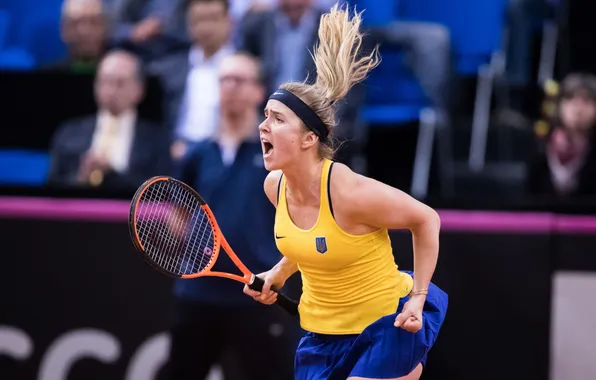Ukraine, Tennis, Elina, WTA, Elina Svitolina, Svitolina, Ukranian, Monfils
