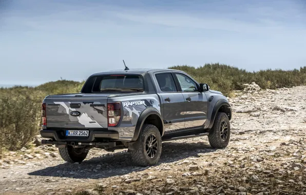 Picture the sky, grass, grey, Ford, Raptor, pickup, shrub, Ranger