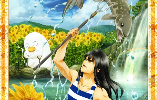 Sunflowers, squirt, fishing, waterfall, rainbow, being, euphoria, gintama