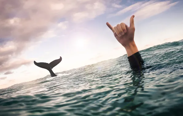 Picture sea, the sky, clouds, hand, kit, tail