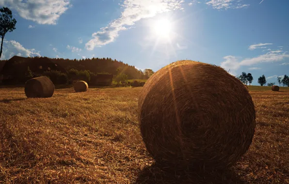 Field, hay, bales