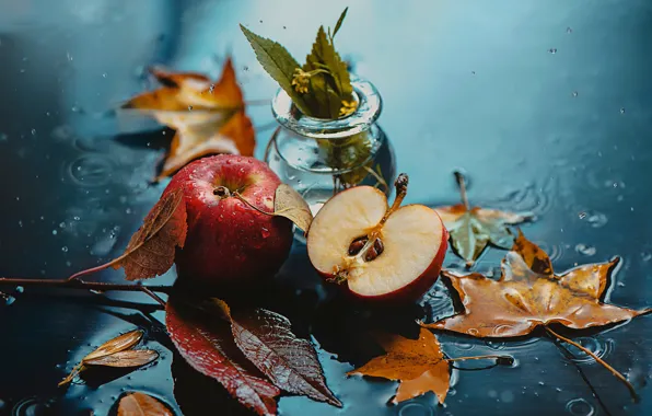 Autumn, leaves, drops, apples