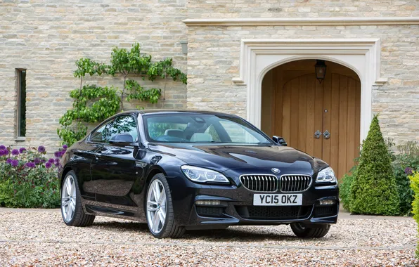 Picture BMW, coupe, BMW, Coupe, Sport, UK-spec, F13, 640d