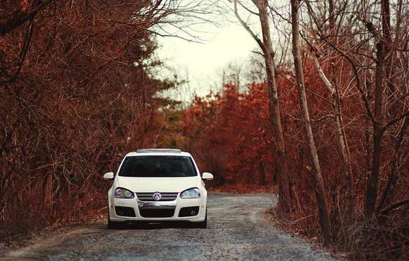 Road, trees, nature, branch, Volkswagen, cars, auto, GTI