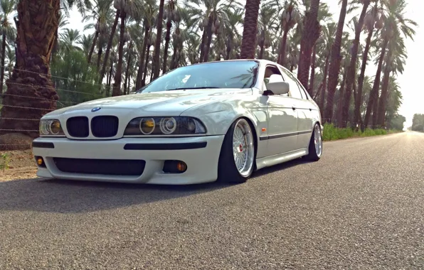 Road, BMW, Tuning, White, BMW, E39, BBS, Stance