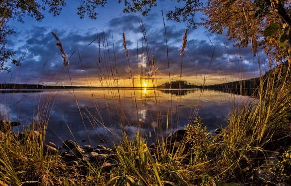 Picture sunset, lake, reed, Finland, Finland, Lake Cariari, Kouvola, Karijarvi Lake