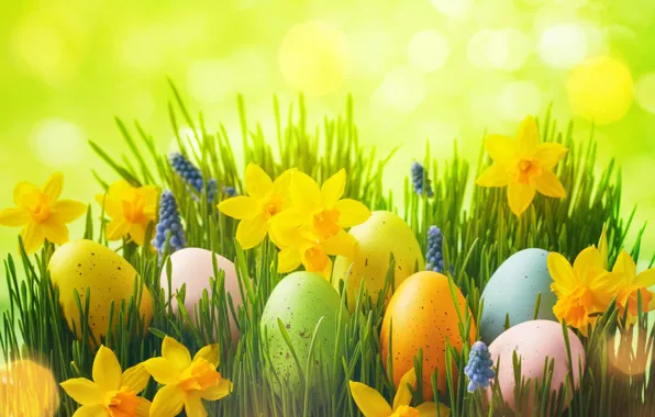 Grass, flowers, background, holiday, glade, eggs, spring, yellow