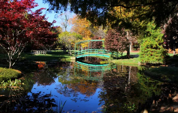 Picture photo, Nature, Trees, River, Pond, Park, USA, Bridges