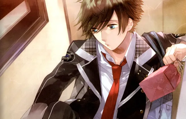 Guy, student, Starry Sky, Starry★Sky, visual novel, anime (2011)