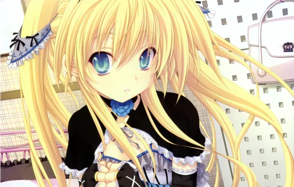 Picture girls, acg, Fuli