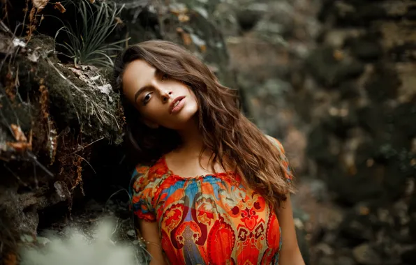 Look, girl, hair, dress, Alexander Sasin, Lily Yerofeyev