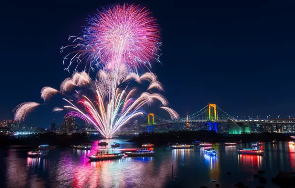 Picture night, the city, holiday, Japan, salute, Bay, Tokyo, fireworks