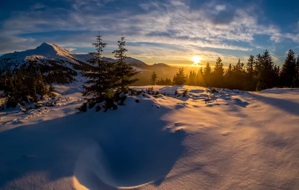 Winter, forest, the sun, clouds, rays, light, snow, sunset