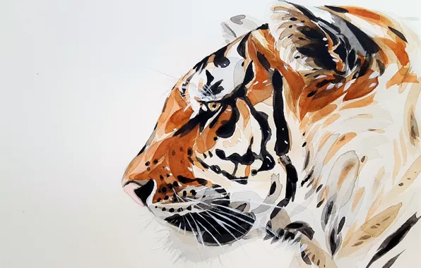 Tiger, Mustache, Profile, White background, Head, Predator, Art, Painting