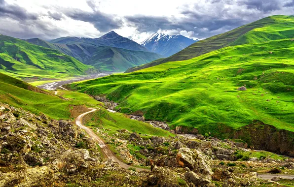 Green, grass, beautiful, beauty, hill, country, azerbaijan
