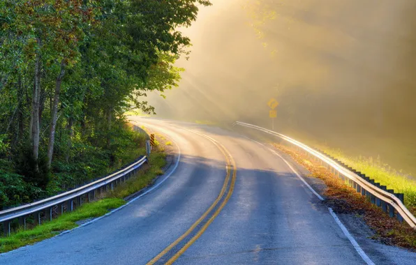 Road, light, landscape, morning
