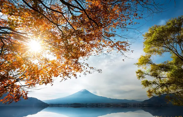 Autumn, leaves, trees, mountains, branches, lake, shore, the rays of the sun