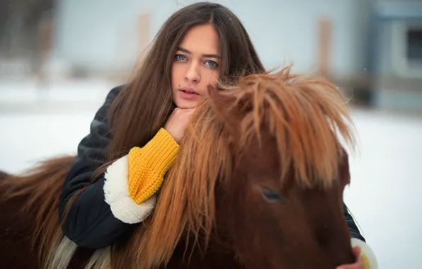 Picture look, girl, face, pony, long hair, horse, Dmitry Shulgin