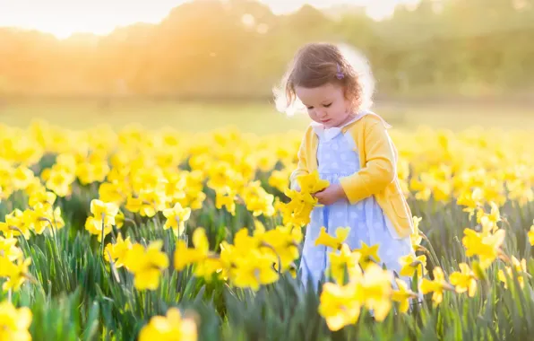 Field, the sun, flowers, child, girl, fields, daffodils, little girls