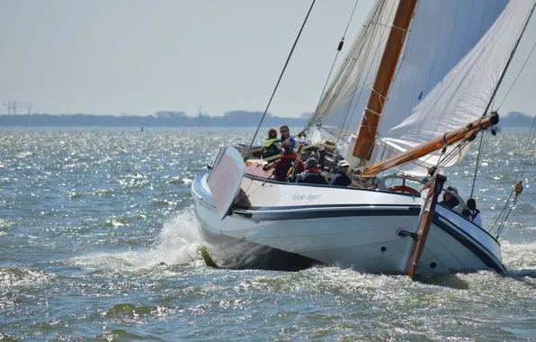 Sea, the way, movement, coast, sail, team, training, sports yacht