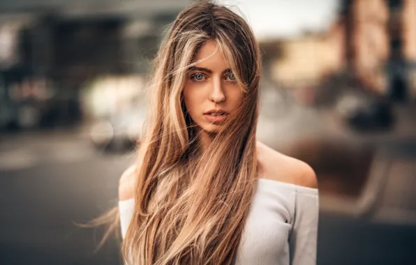 Girl, portrait, makeup, hairstyle, brown hair, blouse, beautiful, bokeh