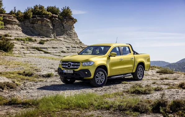 Picture the sky, clouds, landscape, yellow, vegetation, Mercedes-Benz, pickup, 2017