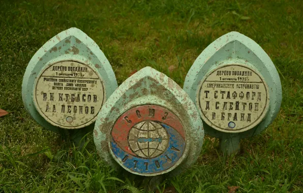 Park, dendrariy, SOCHI