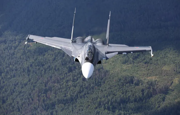Picture forest, flight, fighter, multipurpose, double, Su-30CM