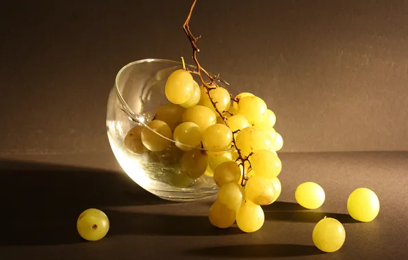 Picture yellow, grapes, bunch, still life