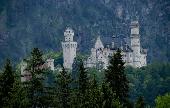 Forest, mountains, castle, rocks, ate, Neuschwanstein