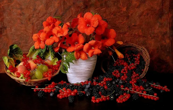 Picture flowers, berries, grapes, still life, BlackBerry, red currant