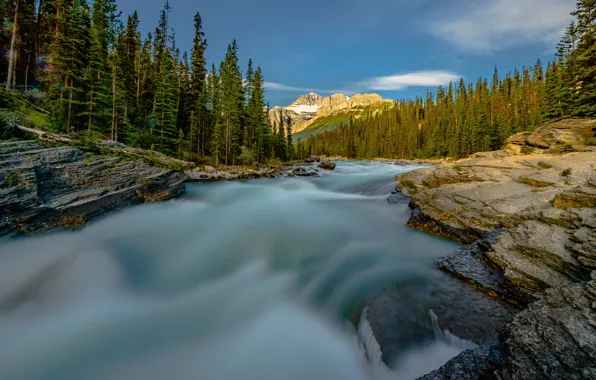 Forest, trees, mountains, river, Canada, Albert, Banff National Park, Alberta