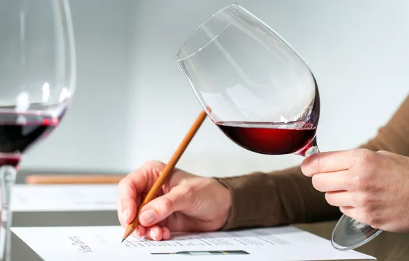 Picture wine, evaluation, alcoholic drink, quality control, wine taster