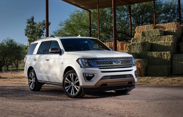 White, Ford, SUV, Expedition, 2020