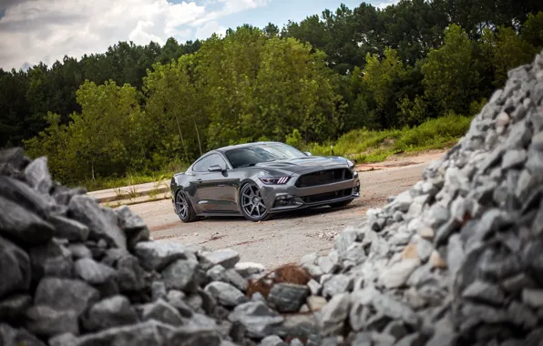 Picture Mustang, Ford, Stones, 2015, 0.5