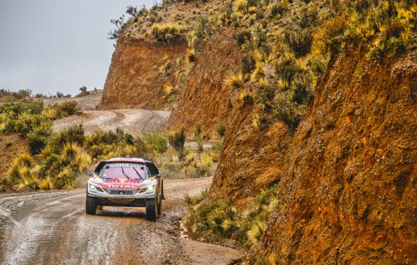 Sport, Speed, Race, Dirt, Peugeot, Lights, Red Bull, Rally