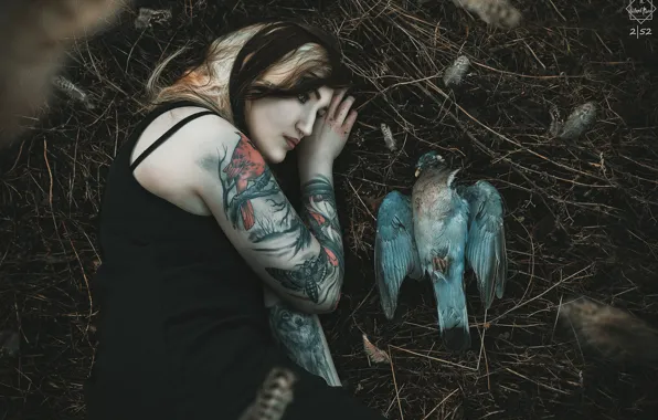Girl, bird, Silent Purr, ☽ Feathers ☾
