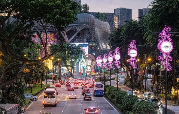 Road, trees, machine, the city, transport, building, the evening, lighting