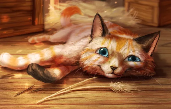 Cat, cat, morning, art