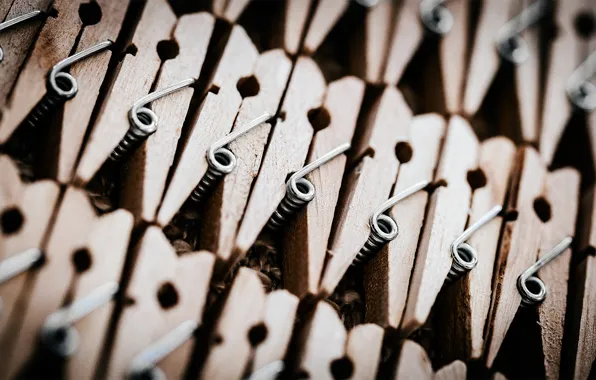 Photographer, clothespin, photography, photographer, Björn Wunderlich