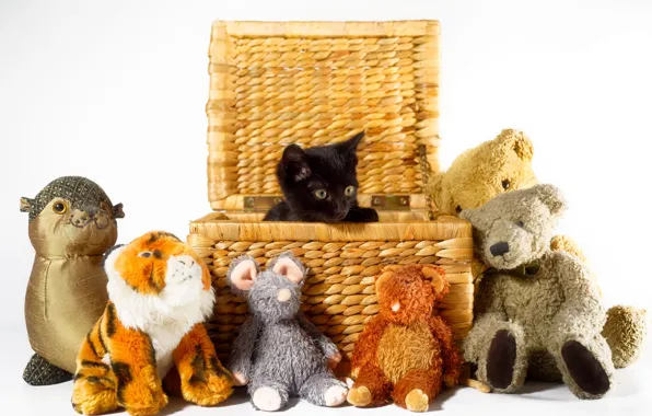 Basket, toys, kitty, black kitten