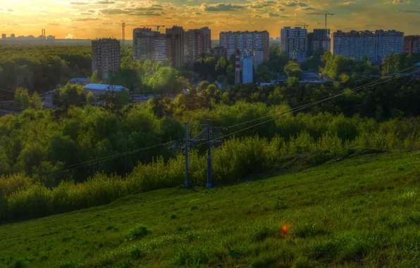 Forest, the city, hdr