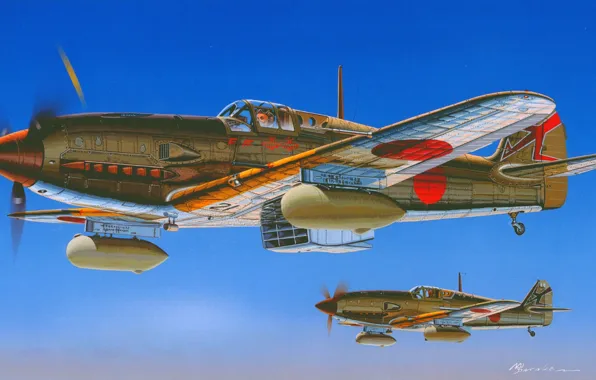Japan, Fighter, Ki-61, Combat aircraft, IJAAF, Ki-61 Hei