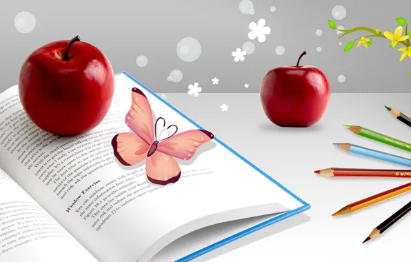 Apples, pencils, book, vector graphics