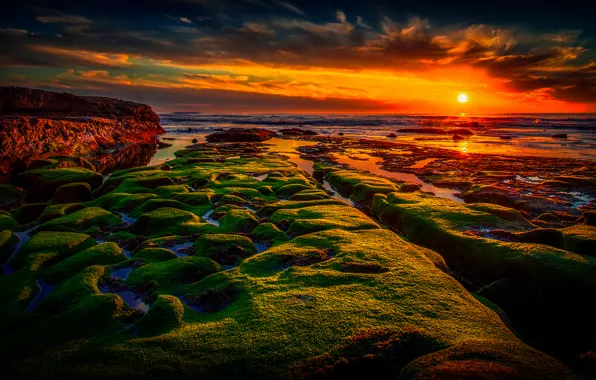 Sea, the sky, sunset, stones, coast, moss, horizon