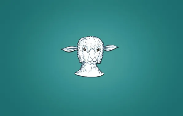 Animal, minimalism, head, lamb, sheep, sheep, bluish background